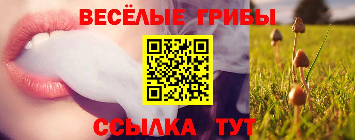 Галлюциногенные грибы GOLDEN TEACHER  Вход с VPN  Россия  Псилоцибиновые грибы ЛСД 