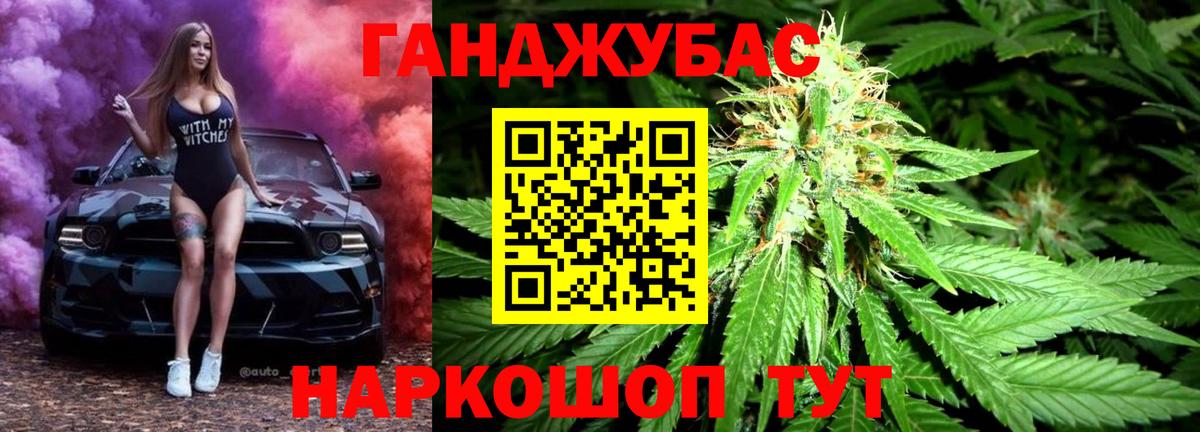 Бошки Шишки план Россия